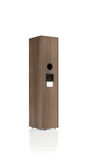 Pylon Audio Pearl 20 (orzech) - 3