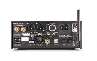 Odtwarzacz strumieniowy Gold Note DS-10 - 5