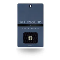 Wzmacniacz Bluesound B160S