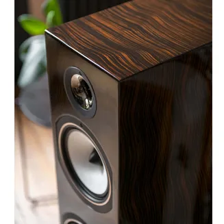 Kolumny podłogowe Triangle Esprit EZ Antal 40th (palisander) - 6