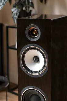 Kolumny podłogowe Triangle Esprit EZ Antal 40th (palisander) - 8