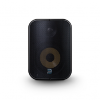 Bluesound BSP500 (Czarny)