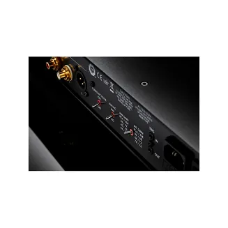 Primare R35 (srebrny) - 5