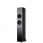 Audiovector R 3 Avantgarde (black ash)