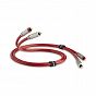 QED Reference Audio 40