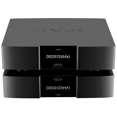 Zegar cyfrowy Auralic Leo GX