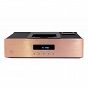 Pier Audio CD-880 SE