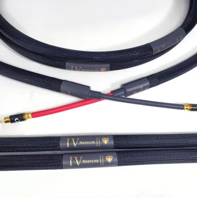 Purist Audio Design Neptune Diamond Revision SPK