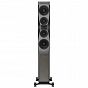 Kolumny podłogowe Dynaudio Confidence 50 (smoke)
