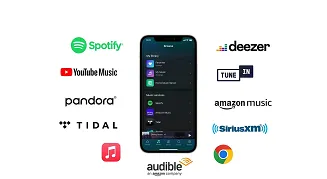 Streamer WiiM Pro - 4