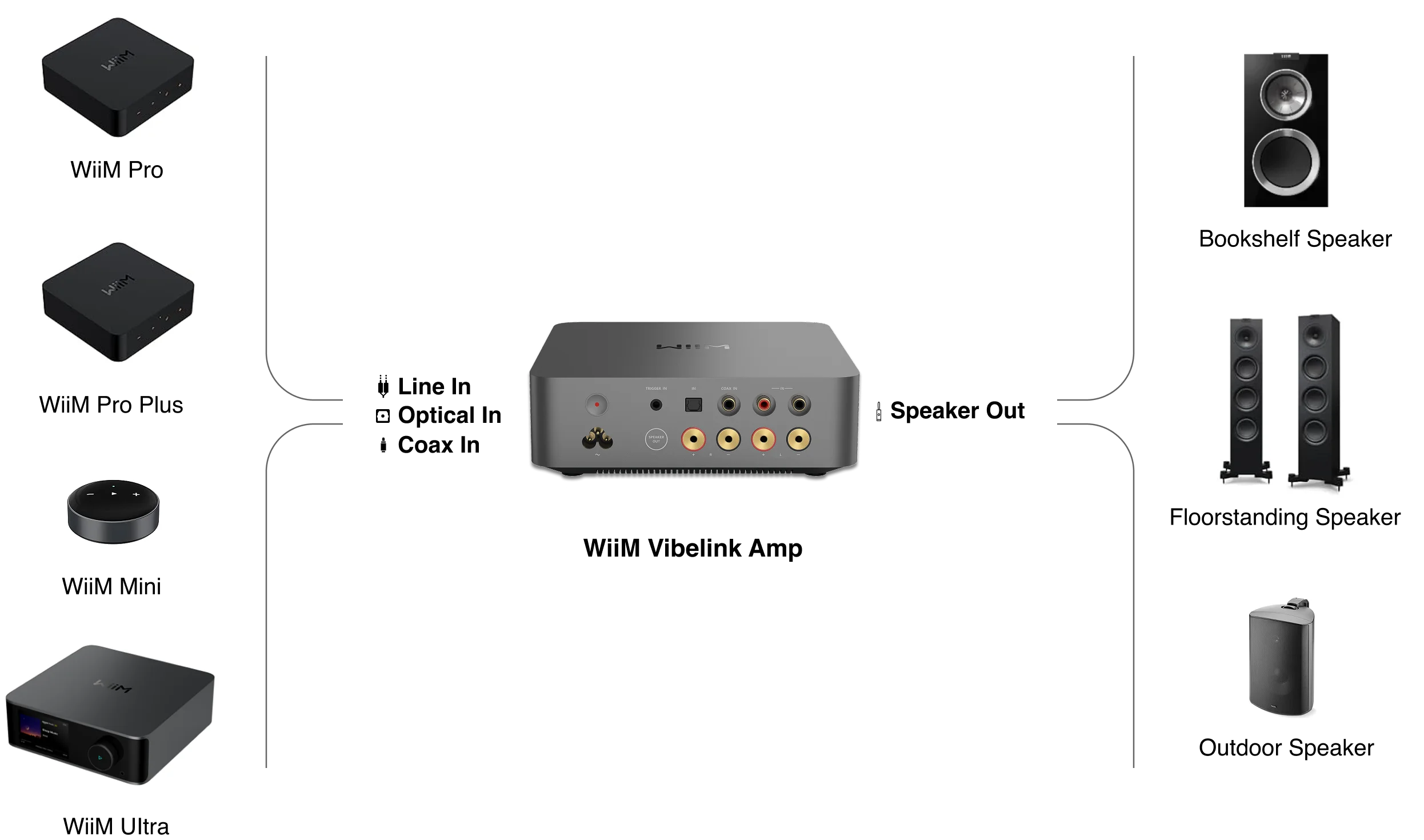 Wiim Vibelink Amp Wiim Vibelink Amp