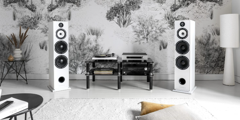 Kolumny podłogowe Triangle Borea BR10 Kolumny podłogowe Triangle Borea BR10